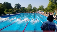 Schwimmer in Aktion