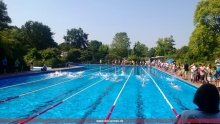Schwimmer in Aktion