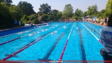 Schwimmer in Aktion