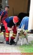 Rettungshund Astro in Aktion